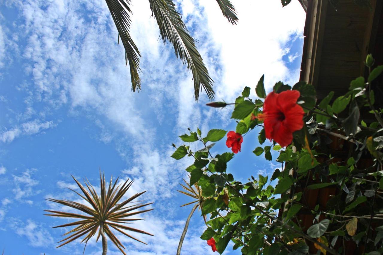 Morada Dos Hibiscos Hotel Praia do Rosa Bagian luar foto